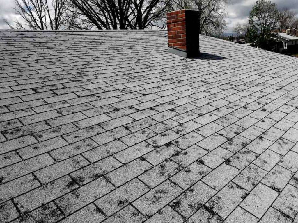 Bad hail damage to shingles on roof" could be: "Roof with severe hail damage showing dented and cracked shingles