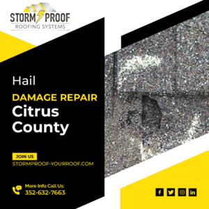 Read more about the article Hail Damage Repair Citrus County