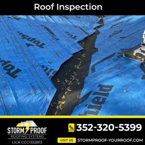 Don't Wait for Problems to Arise: Schedule a Professional Roof Inspection Today