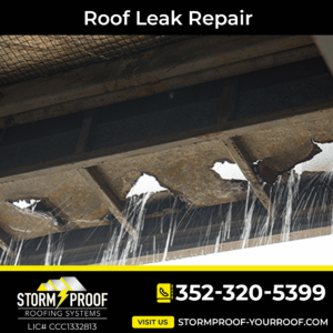 Quick and Reliable Roof Leak Repair Services: Stormproof Your Roof