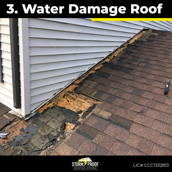 Water Damage on Roofs: Causes, Prevention, and Repair