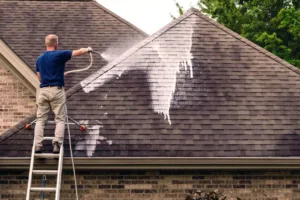 Read more about the article Roof Cleaning: Enhancing the Beauty and Longevity of Your Roof