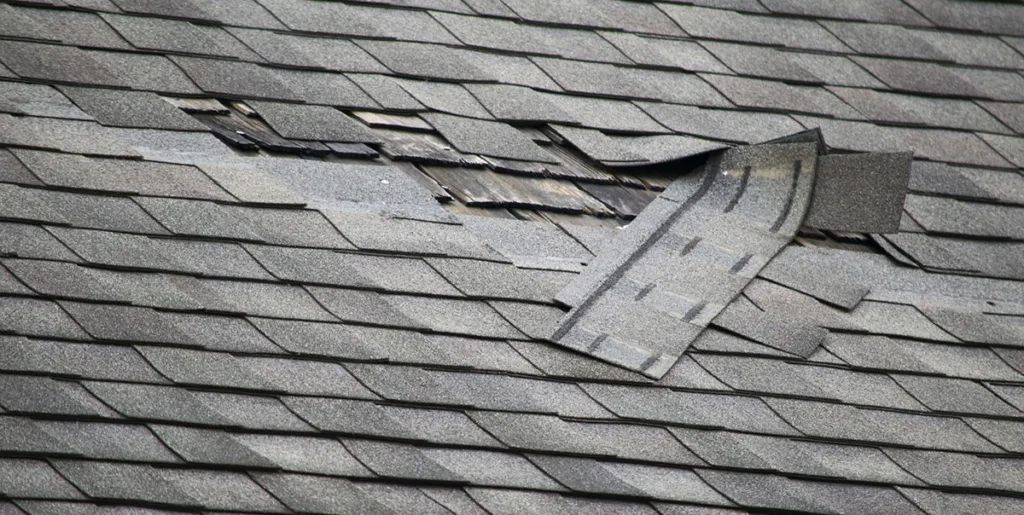 Damaged Roof Shingles