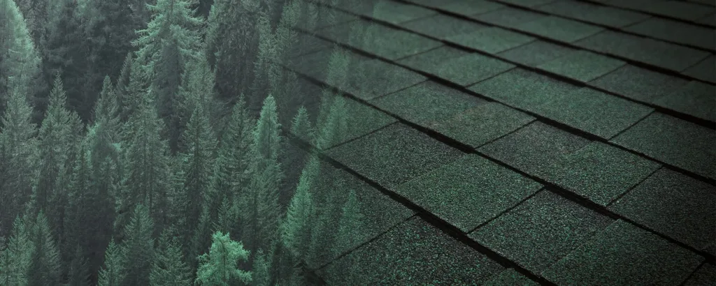 Asphalt shingle roof in rustic evergreen color on a house.