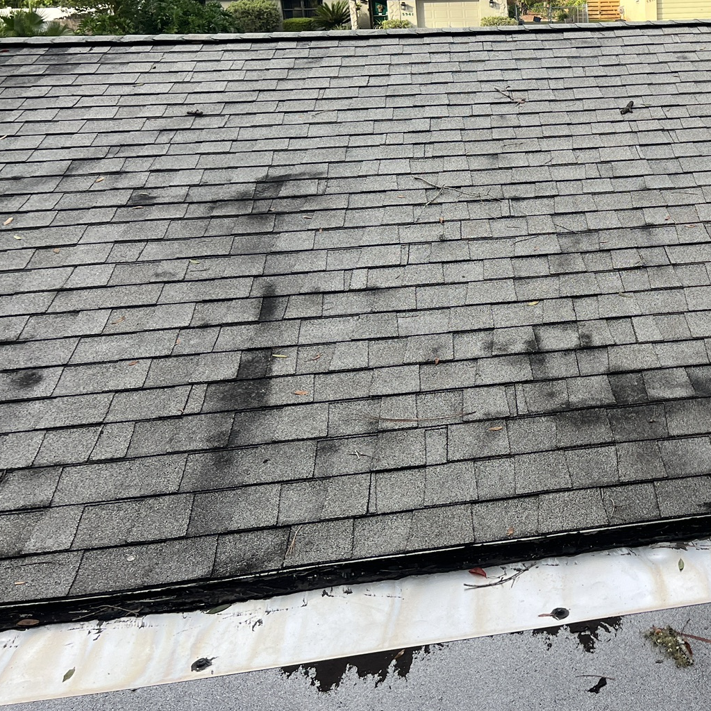 Old Worn Out Roofing Shingles